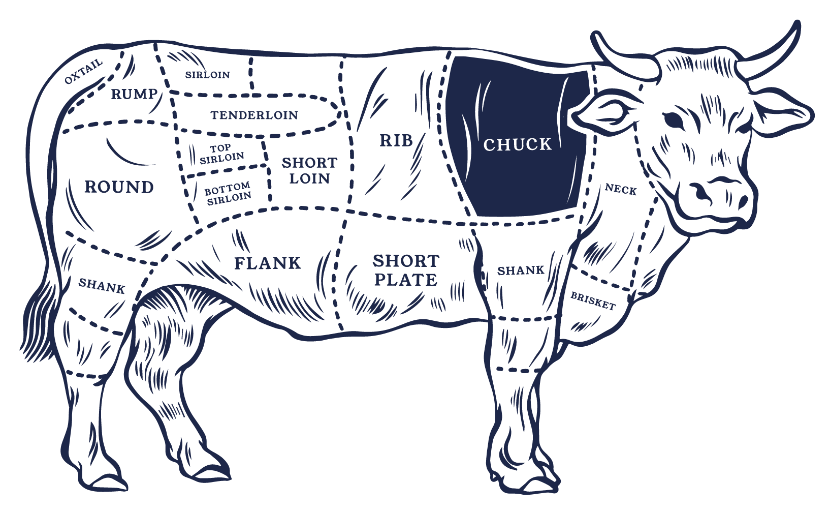 ALTERNATIVE BEEF CUTS	