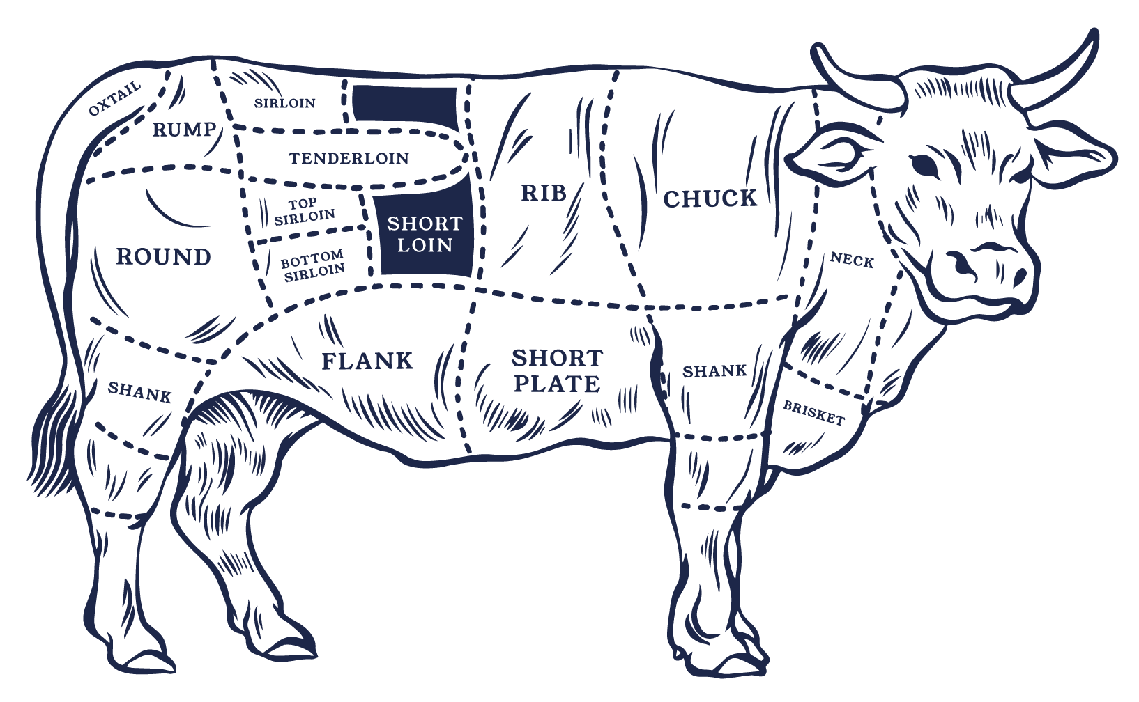 Where it comes from