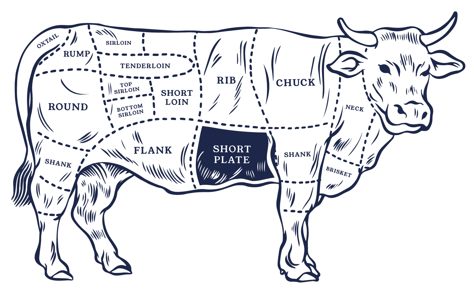 Where it comes from