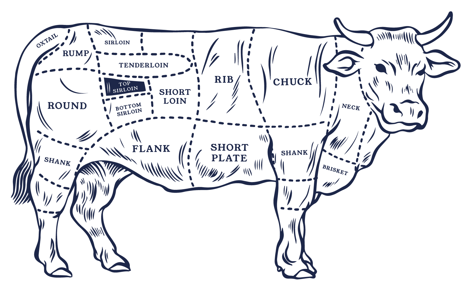 ALTERNATIVE BEEF CUTS