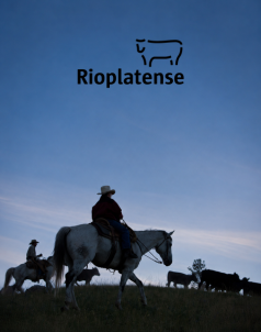 Rioplatense