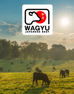 Japanese Wagyu