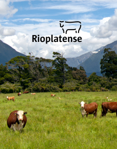 Rioplatense