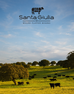 Santa Giulia