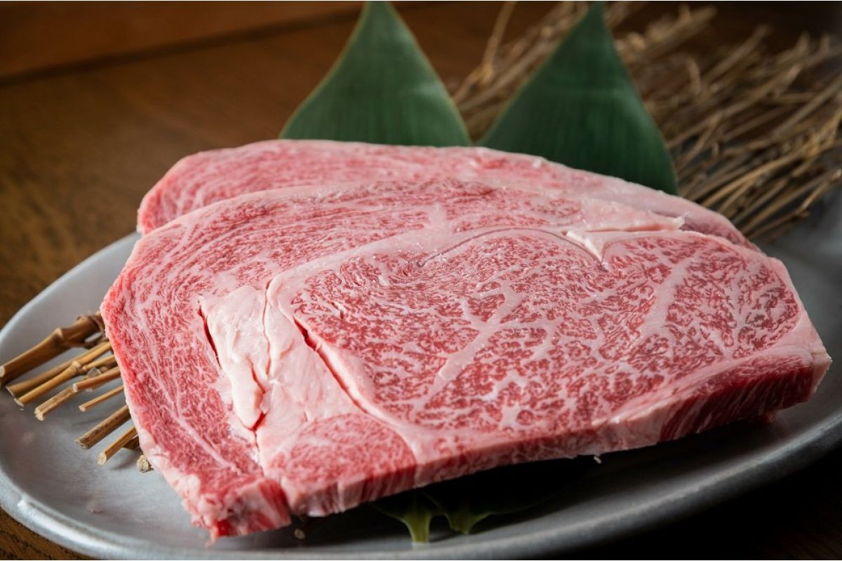 Halal Jack's Creek Wagyu Ribeye BMS 6-7 Steak